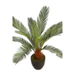 CYCAS CON MACETA 65CM - Imagen 2
