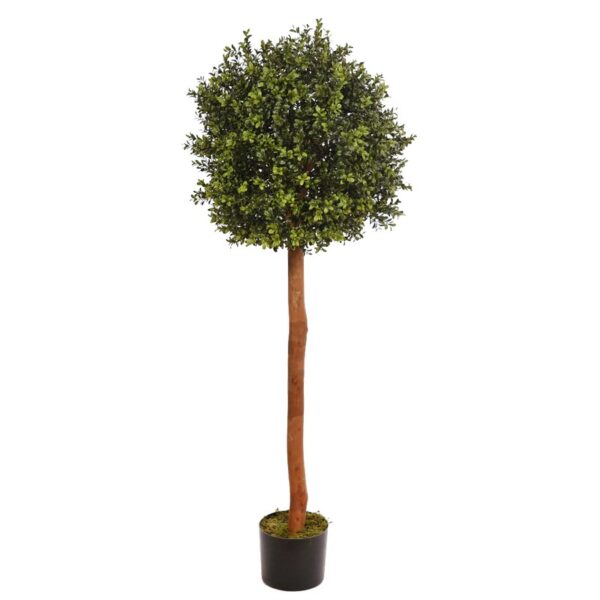 ARBOL BOLA BOJ - Imagen 1