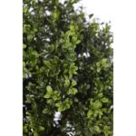 ARBOL BOLA BOJ - Imagen 2