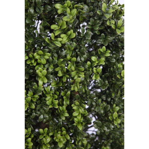 SETO BOJ 90 CM - Imagen 4