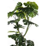 MONSTERA ARTIFICIAL 200CM - Imagen 2