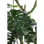 MONSTERA ARTIFICIAL 200CM - Imagen 3