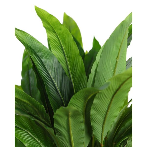 CALATHEA ARTIFCIAL EN MACETA 75CM - Imagen 2