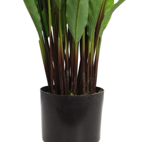 CALATHEA ARTIFCIAL EN MACETA 75CM - Imagen 3