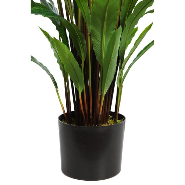 PLANTA CALATHEA ARTIFICIAL 100CM - Imagen 3