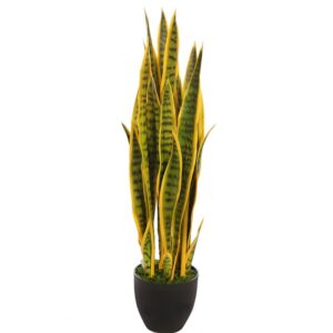 SANSEVIERIA CACTUS CON MACETA 85CM