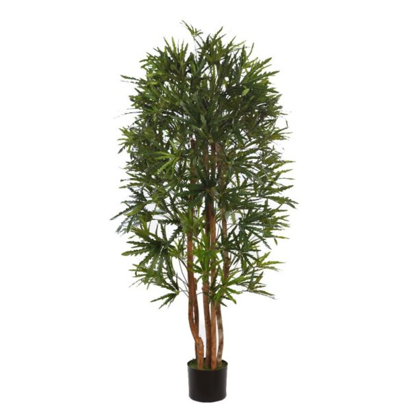 B293TL_0 PLANTA ARALIA ARTIFICIAL 160CM - Imagen 1