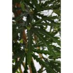 PLANTA ARALIA ARTIFICIAL 160CM - Imagen 3