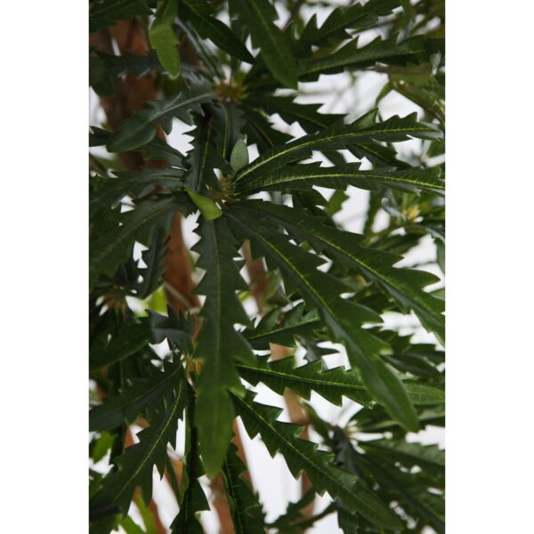 PLANTA ARALIA ARTIFICIAL 160CM - Imagen 3