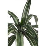 CABEZA DE DRACENA ARTIFICIAL 38CM - Imagen 2
