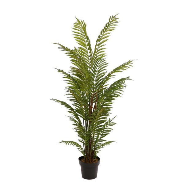 HELECHO ARBOREO CON MACETA, 150 CM - Imagen 1