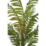 HELECHO ARBOREO CON MACETA, 120CM - Imagen 2