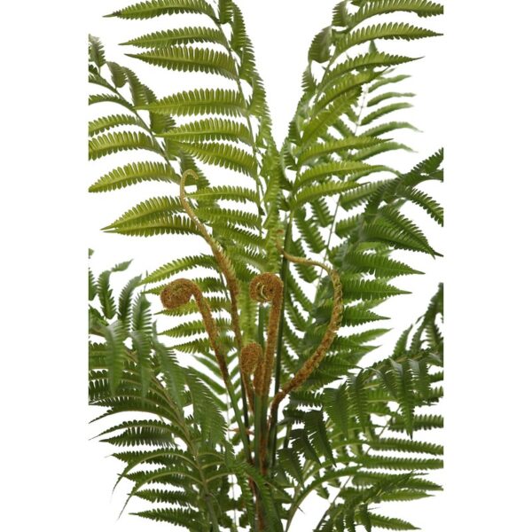 HELECHO ARBOREO CON MACETA, 120CM - Imagen 2