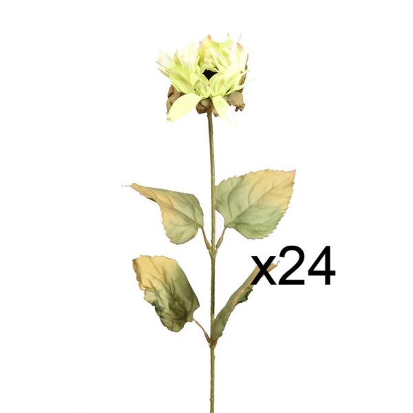 CAJA 2 DOZ VARA GIRASOL 77CM - Imagen 1