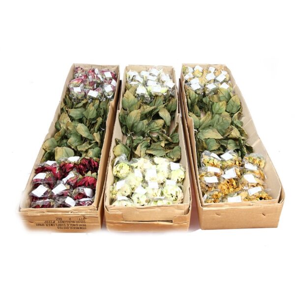 CAJA 2 DOZ VARA GIRASOL 77CM - Imagen 3