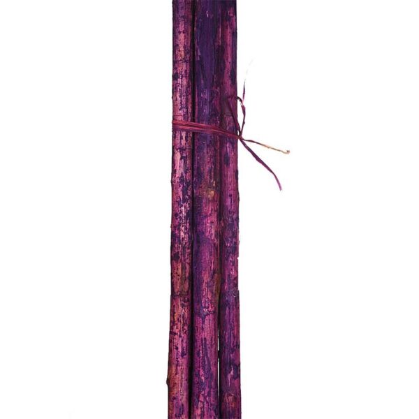 CAÑA 6UD 150CM - Imagen 5