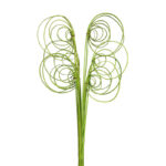 CANE COIL X 10, 50 CM - Imagen 6