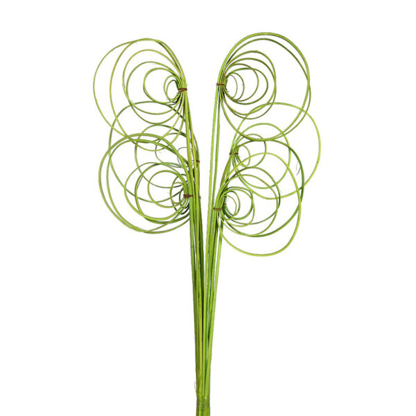 CANE COIL X 10, 50 CM - Imagen 6