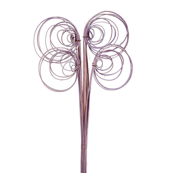 CANE COIL X 10, 50 CM - Imagen 2