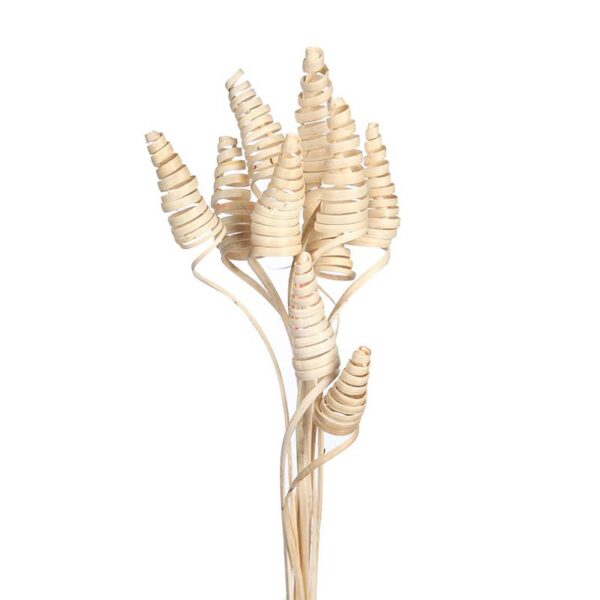 CANE CONE X 10, 50 CM - Imagen 1