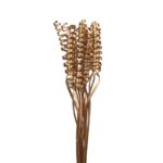 CANE SPRING X15 METALIZADO 50CM - Imagen 2