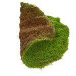 LIQUEN SINTETICO Ø 55CM - Imagen 3