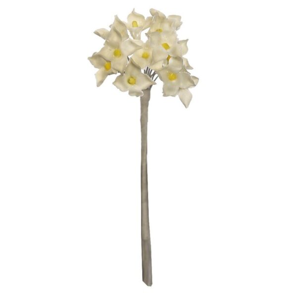 POMITO PASTA - Imagen 1