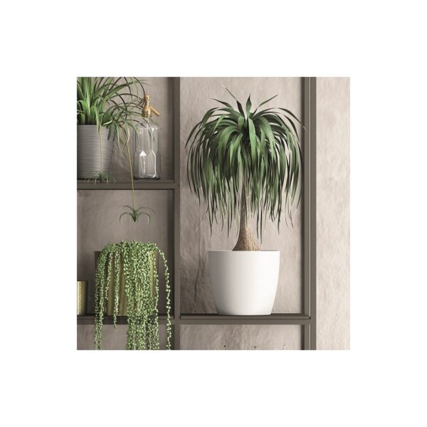 MACETA PLASTICO Ø 25CM - Imagen 2