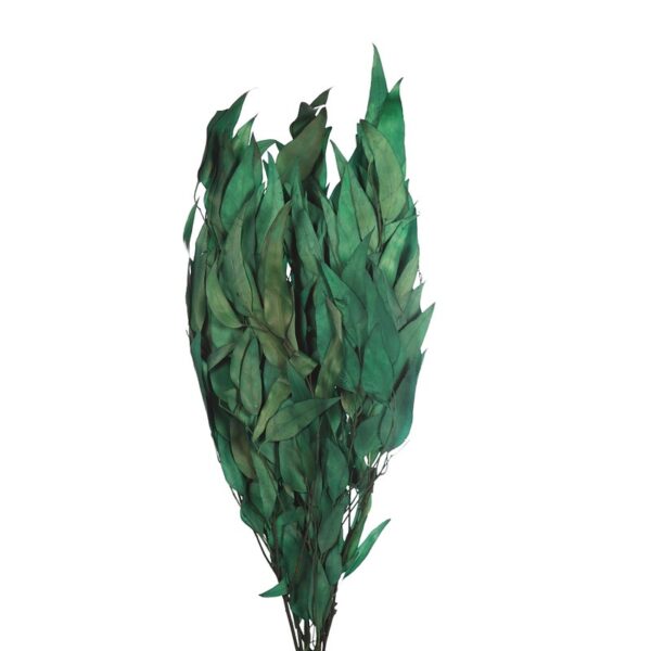 POMO EUCALIPTO NATURAL TRATADO 75CM - Imagen 2