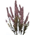 PLANTA BREZO ARTIFICIAL 35CM - Imagen 6