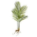 PLAMERA RAICES ARTIFICIAL 70CM