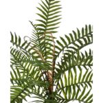 HELECHO CON BROTES EN MACETA 40CM - Imagen 2