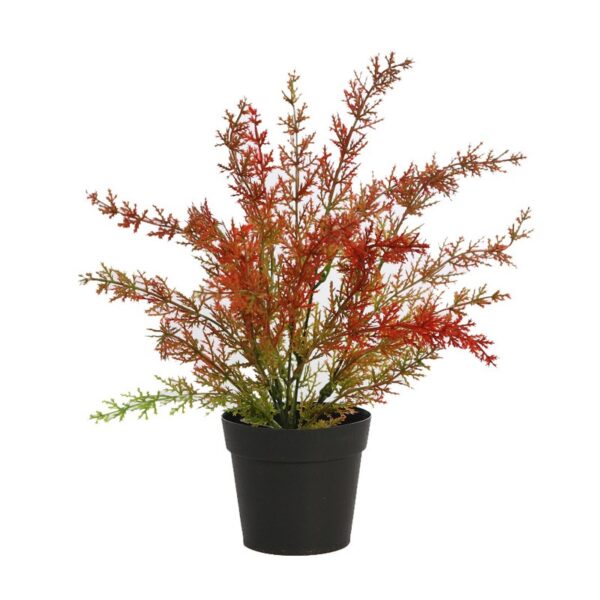 FH0110M.06_0 ESPARRAGUERA ARTIFICIAL EN MACETA 30CM - Imagen 1