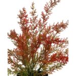 ESPARRAGUERA ARTIFICIAL EN MACETA 30CM - Imagen 2