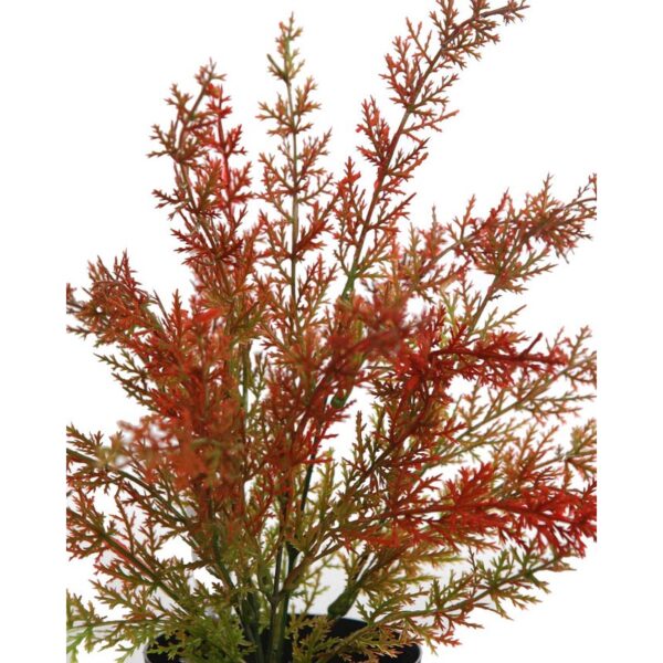 ESPARRAGUERA ARTIFICIAL EN MACETA 30CM - Imagen 2