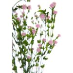 MATA FLOR MINI GIPSOFILA ARTIFICIAL 35CM - Imagen 6