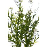 MATA MINI GIPSOFILA ARTIFICIAL 35CM - Imagen 2