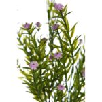 MATA MINI GIPSOFILA ARTIFICIAL 35CM - Imagen 8