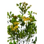 MATA BROTES MINI FLOR ARTIFICIAL 30CM - Imagen 2