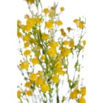 MATA GIPSOFILA ARTIFICIAL 34CM - Imagen 4