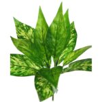 PLANTA DIFEMBACHIA ARTIFICIAL 24CM - Imagen 2