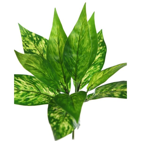 PLANTA DIFEMBACHIA ARTIFICIAL 24CM - Imagen 2