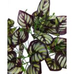 PLANTA HOJA BICOLOR ARTIFICIAL 30CM - Imagen 2