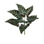 APELANDRA ARTIFICIAL 35CM