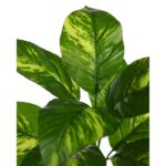 PLANTA POTO ARTIFICIAL 35CM - Imagen 2