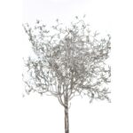 ATADO ESPARRAGUERA ARTIFICIAL 38CM - Imagen 2