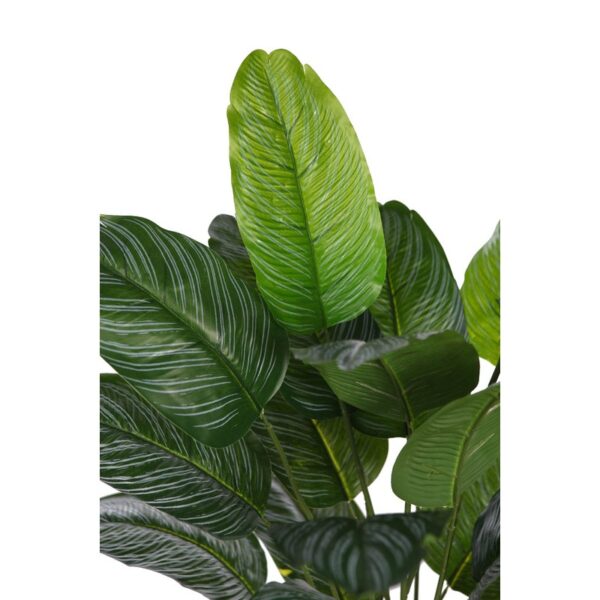 PLANTA CALATHEA ARTIFICIAL 65CM - Imagen 2