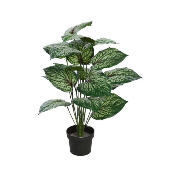FH0202M_0 PLANTA CALADIUM VERDE EN MACETA ARTIFICIAL 65CM - Imagen 1