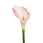 FLOR DE CALA ARTIFICIAL 70CM - Imagen 4