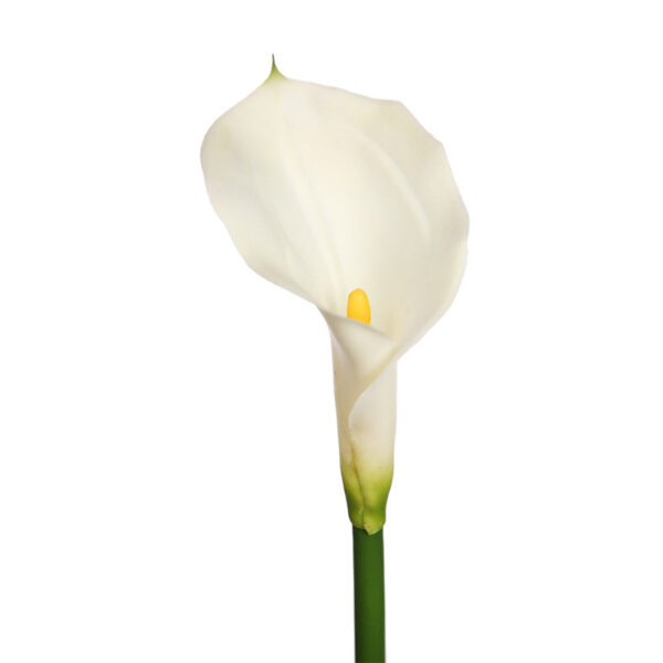 FLOR DE CALA ARTIFICIAL 70CM - Imagen 2